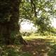 Queenies, an authentic Rural Style coastal cottage in a Nature Reserve, Farnham (fotografie 9)