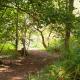 Cissys Cottage in a Nature Reserve, 7 minutes from Aldeburgh seafront, Farnham (zdjęcie 10)