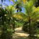 Tropical Treehouse - Sundancer 5A, Sandy Bay (photo 4)