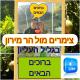 צימרים מול הר מירון בצבעון בגליל העליון אורלי ומאיר,למשפחות ולזוגות Tsiv'on - Foto 1