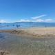 Phuenics de galera, Puerto Galera (foto 7)