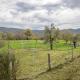 Terre d'Emeraude - Charmante maison avec sauna, Vosbles (foto 10)