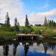 Blåfjell hundesenter fjellhotell, Mosjoen - Fotografie 1