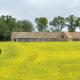 Alice Cottage, Thurning (foto 2)
