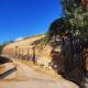 Casa Ollagua, Vicuña (fotografie 2)