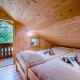 Lunela estate with sauna, Cerklje na Gorenjskem (fotografie 4)