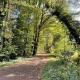 Apartment in upper floor in nature reserve., Hipstedt - Foto 4
