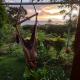 Finca Mystica