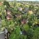Sari Wangi Cottage Ubud - Photo 10