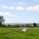 Buttercup Cottage, Ripley (fotografie 3)