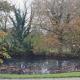 The Cottage, Fressingfield (fotografie 7)
