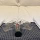 Lux Apartment near Frankfurt!, Mörfelden-Walldorf - Foto 9