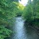 Cottage by the river Valea Draganului, Poeni - 写真 9