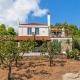 Plum Ridge House, Città di Skopelos (foto 2)