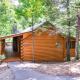 Cabin Fever #117, Sevierville