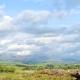 The Den, Grayrigg (fotografie 6)