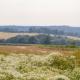 Cornbrash Farm Cottage, Dallington (fotografie 4)