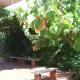 Villa Aliotis, Alcamo Marina (Foto 8)