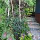 Treeverb Beach House - Daintree, Cow Bay - Fotografie 5
