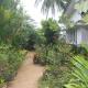 Sinharaja Tranquil Homestay, Deniyaya (fotografie 3)
