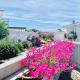 Large Bright Guest House, Motueka (Foto 8)