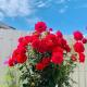 Large Bright Guest House, Motueka (Foto 9)