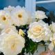 Large Bright Guest House, Motueka (Foto 10)