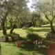 The Wishing Well, Gallinaro (fotografie 5)