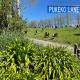 Pukeko Lane Tauranga - Fotografie 6