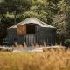 Beech Yurt Fernhurst - Fotografie 3