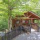 ER44 - Rising Eagle - Great Location! Close To Town! cabin Pigeon Forge - Photo 1