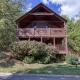 ER15 - A Bears Life Great location - Close to town! cabin Pigeon Forge - Photo 2
