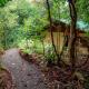 La Tigra Rainforest Lodge, Фортуна - Фото 4