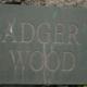 Badgers Wood, Buxton (foto 4)