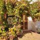 Trullo Nonna Rosa, Antonelli (zdjęcie 6)