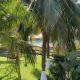 Cabo tortuga bungalows, Monterrico (fotografie 4)