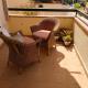 Casas Holiday - Golf Campoamor, Orihuela (foto 4)