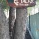 EL TALAR 1 Sauce Bajada - Foto 1