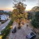 The Birdhouse Villa, Bir - Fotografie 6
