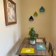Large Bright apartment, St. Leonards (fotografie 4)
