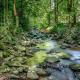 Firefly Creek, Free Attraction Tickets Tickets, Hot Tub, On a Creek, Fire Pit, WIFI!!! Gatlinburg - Fotografie 4