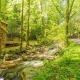 Firefly Creek, Free Attraction Tickets Tickets, Hot Tub, On a Creek, Fire Pit, WIFI!!! Gatlinburg - Fotografie 5
