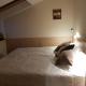 Centrum Misji Afrykańskich - centrum hotelowo-konferencyjne, Borzęcin Duży (fotografie 7)