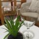 Apartman Luka, Mostar (Foto 9)