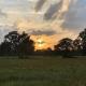 8BR House/21 Beds @ Spring Lakes Ranch - Fish/Swim, Aquilla (fotografie 2)