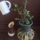 Dee-Dee's Guest House, Bed And Breakfast, Pakse (foto 10)