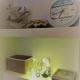 My Dream Home, Nettuno (fotografie 6)