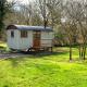Lilliput - Delightful 1-bedroom shepherd's hut Holsworthy - Photo 1