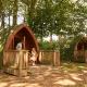 Pinewood - At Port Lympne Reserve, Hythe (fotografie 3)