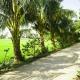 Hoang Y Homestay, Hội An - Photo 4